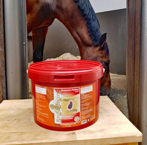 Stomach-protek assist - 1.6 kg