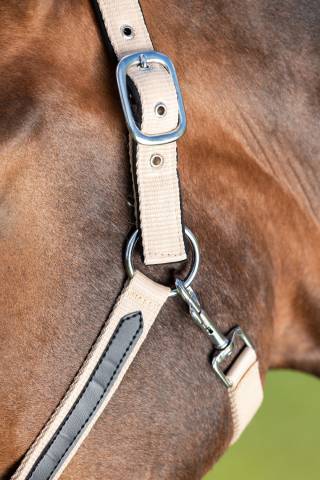 Licol first en nylon - HFI - doublure nubuck