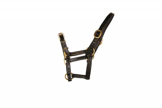 Licol cuir noir foal - HFI - surpiq&ucirc;res cr&egrave;me