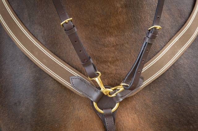 Collier de chasse &eacute;lastique avec martingale noir / marine HFI