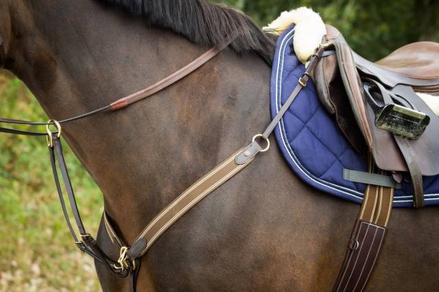 Collier de chasse &eacute;lastique avec martingale noir / marine HFI