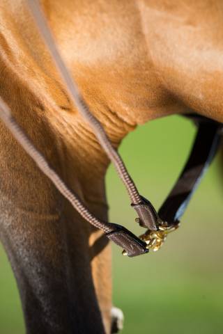 R&ecirc;nes allemandes cuir - HFI - boucles en laiton