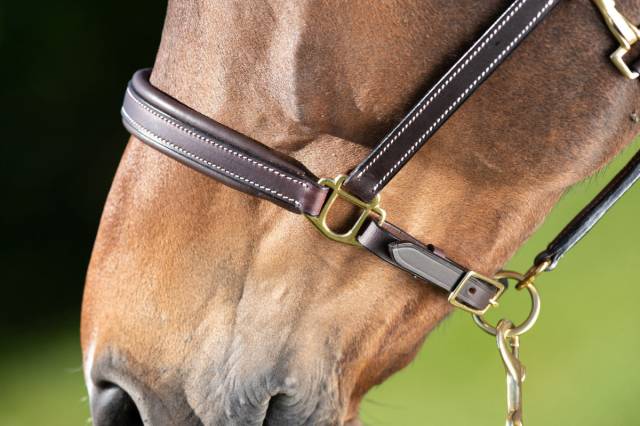 Licol cuir coutures cr&egrave;me noir - HFI - cuir souple