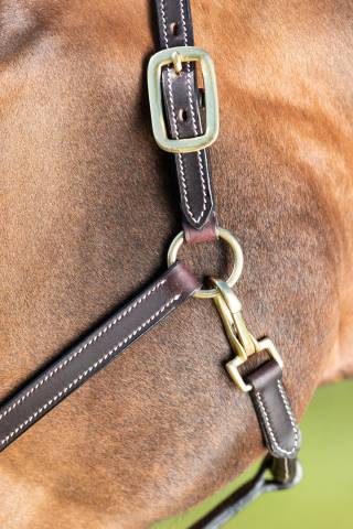 Licol cuir coutures cr&egrave;me noir - HFI - cuir souple