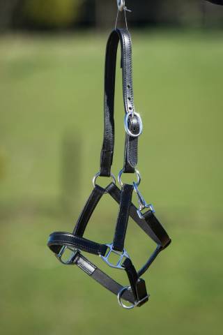 Licol cuir double poulain - HFI - cuir noir