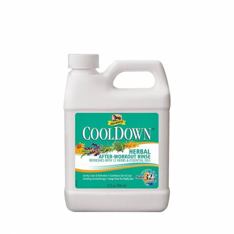 Absorbine Cool Down - Absorbine - 950 ml