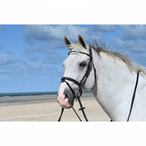 Bridon Monday muserolle combinée - Collection Week - Jump in