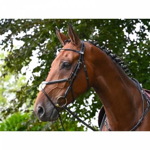 Bridon Monday muserolle combinée - Collection Week - Jump in