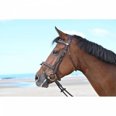 Bridon Tuesday muserolle combinée - Collection Week - Jump in