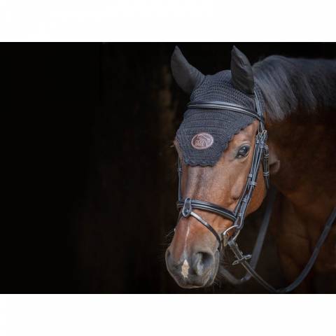 Bridon Tuesday muserolle combinée - Collection Week - Jump in