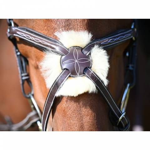 Bridon Wednesday muserolle combinée - Collection Week - Jump'in