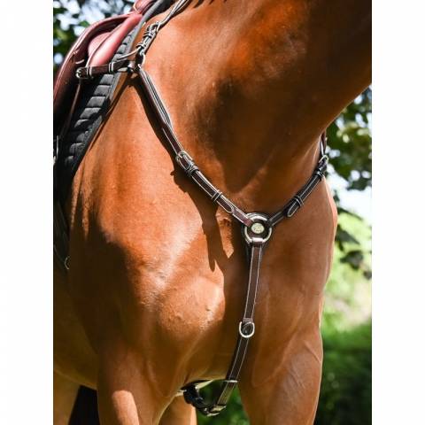 Collier de chasse Wednesday - Collection Week - Jump in