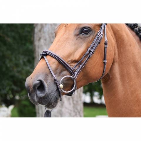 Bridon Thursday muserolle combinée - Collection Week - Jump in