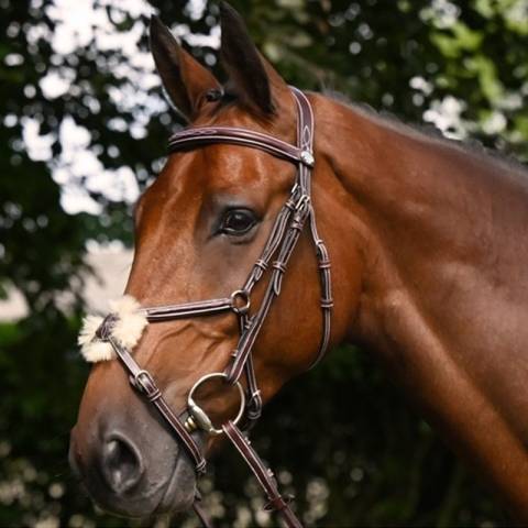 Bridon Thursday muserolle combinée - Collection Week - Jump in