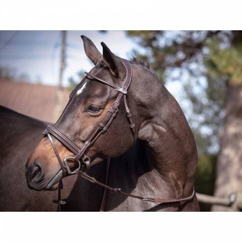 Bridon Friday muserolle combinée - Collection week - Jump in