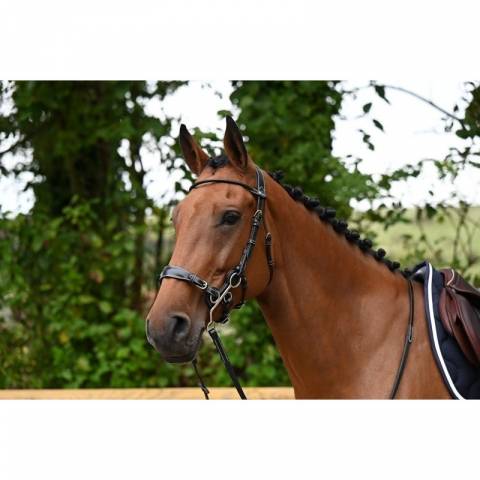 Bridon Hackamore - Collection week - Jump in