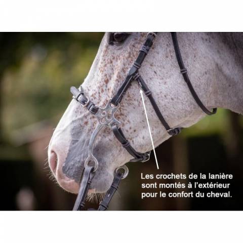 Bridon Hackamore - Collection week - Jump in