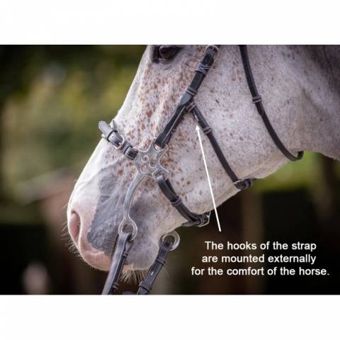 Bridon Hackamore - Collection week - Jump in