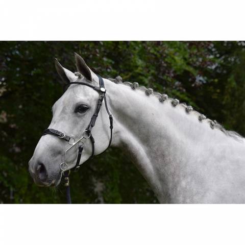 Bridon Hackamore - Collection week - Jump in