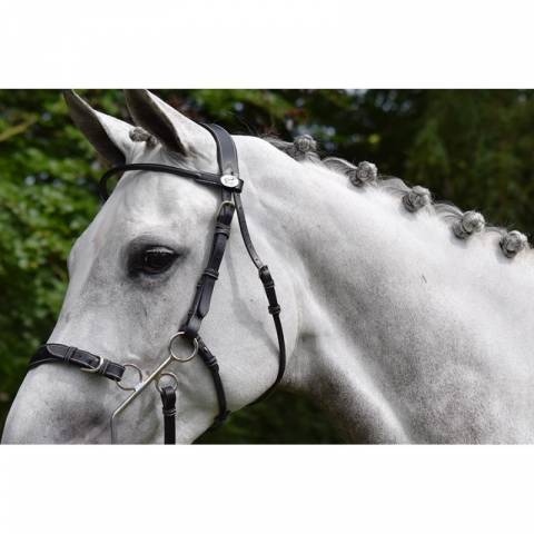 Bridon Hackamore - Collection week - Jump in