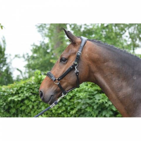 Licol Crystal - Collection Week - Jump in