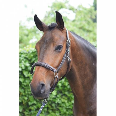 Licol wednesday - Collection Week - Jump in