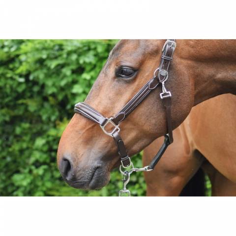 Licol wednesday - Collection Week - Jump in