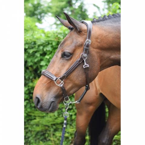 Licol wednesday - Collection Week - Jump in