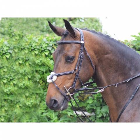 Enrênement Howlett - Jump'in