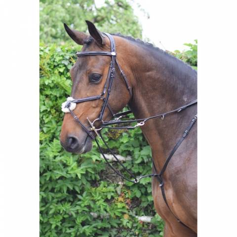 Enrênement Howlett - Jump'in