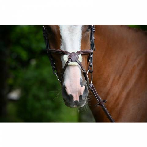 Muserolle Tuesday - Jump in