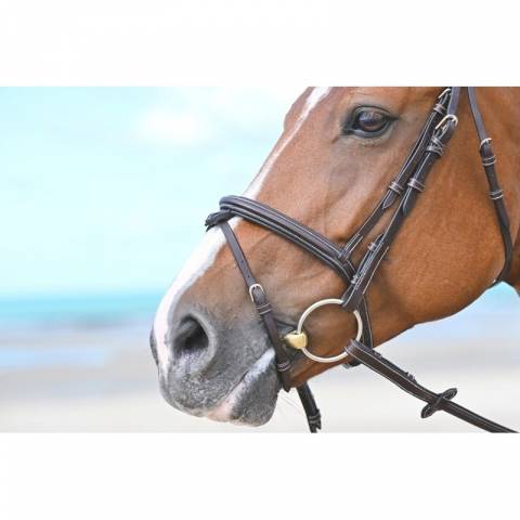 Muserolle Tuesday - Jump in