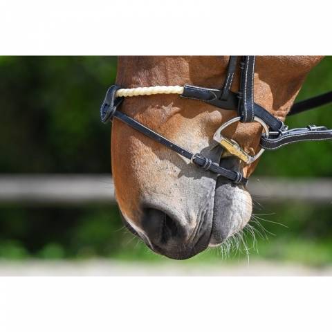 Muserolle combinée corde - Jump'in