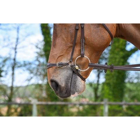 Muserolle allemande - Jump'in