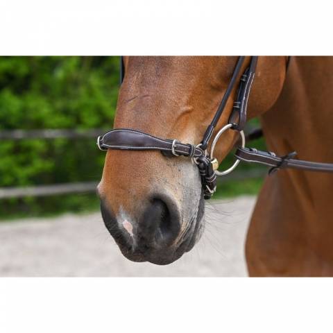 Muserolle allemande à chaîne - Jump'in