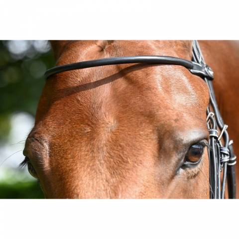 Frontal Monday Collection Week Jump in