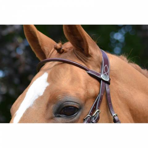 Frontal Monday Collection Week Jump in