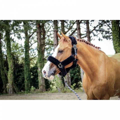 Licol Soft One - Noir - Jump'in