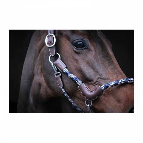 Licol travel - Collection One - Jump in