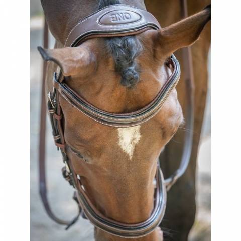 Bridon Manhattan - Collection One - Jump in