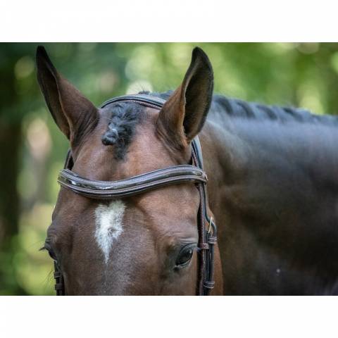 Bridon Manhattan - Collection One - Jump in