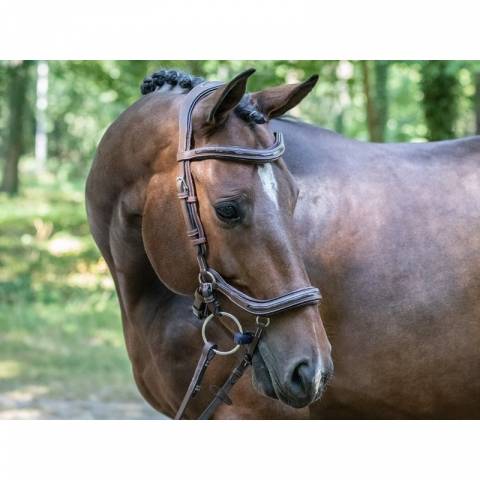 Bridon Manhattan - Collection One - Jump in