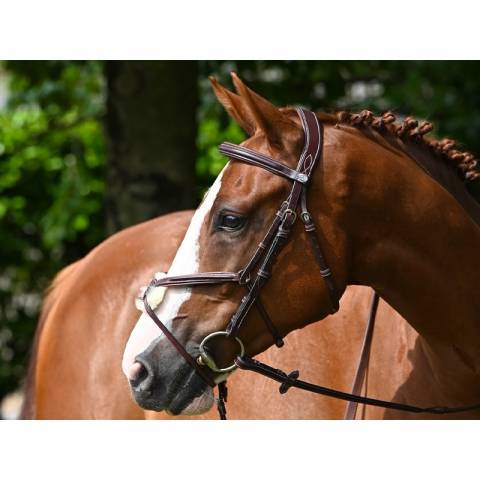 Bridon Tuesday muserolle croisée - Collection Week - Jump in