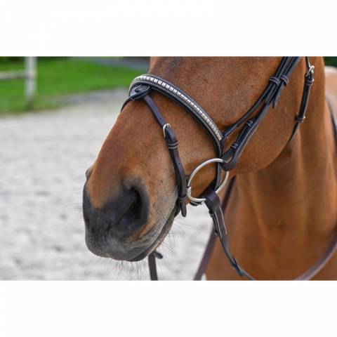 Bridon Clincher - Collection One Premium - Jump in