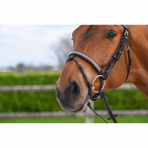 Bridon Clincher - Collection One Premium - Jump in