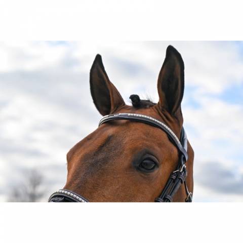 Bridon Clincher - Collection One Premium - Jump in