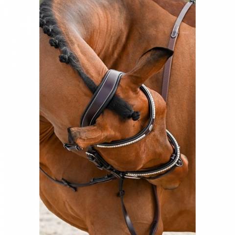 Bridon Clincher - Collection One Premium - Jump in