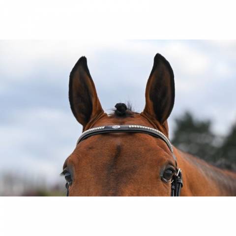 Bridon Clincher - Collection One Premium - Jump in