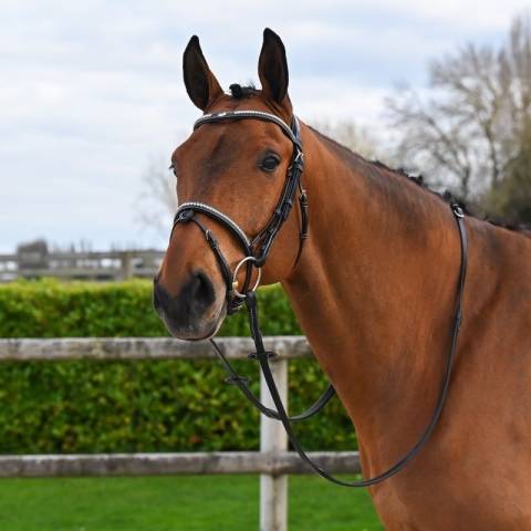 Bridon Clincher - Collection One Premium - Jump in
