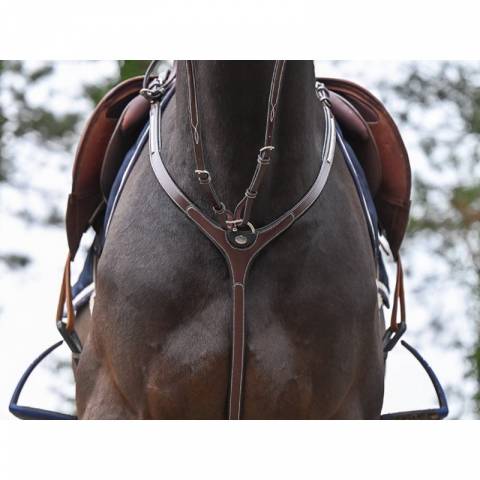 Collier de chasse Clincher et martingale - Collection One Premium - Jump in